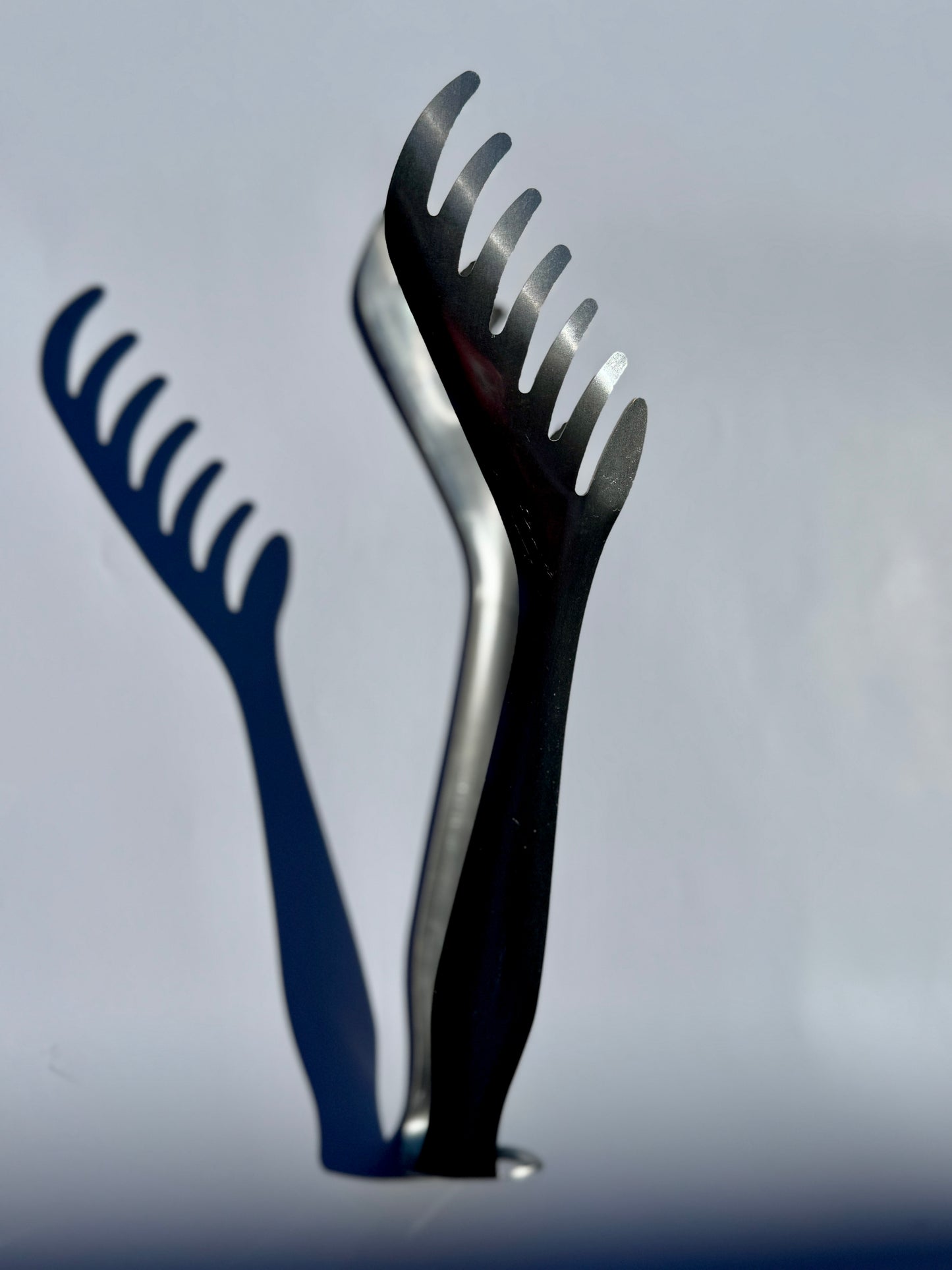 Pastatång, Stainless Steel. 24 cm