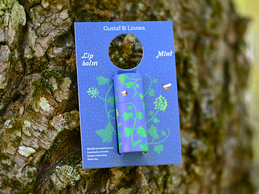 Lip Balm Mint with Display card