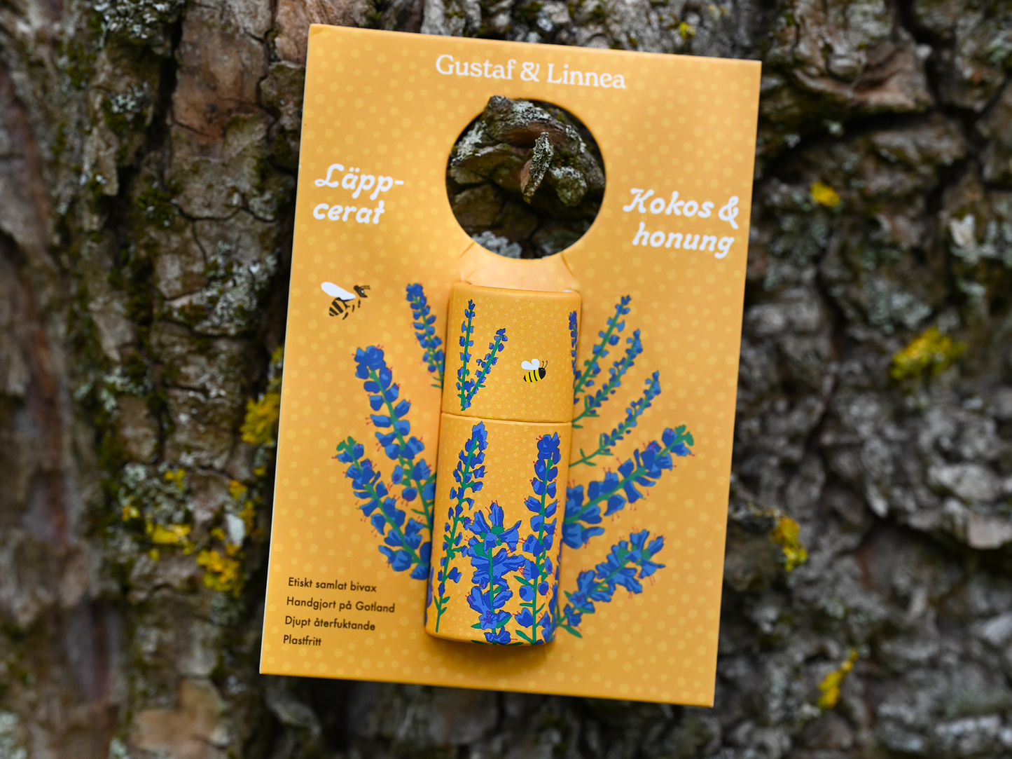 Läppcerat av bivax med smak av kokos och honung med kortupphängning