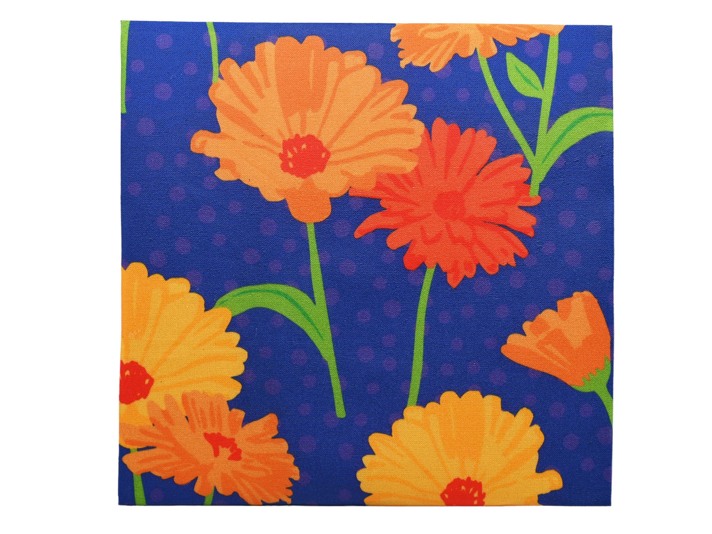 Bivaxduk trepack - Ringblomma