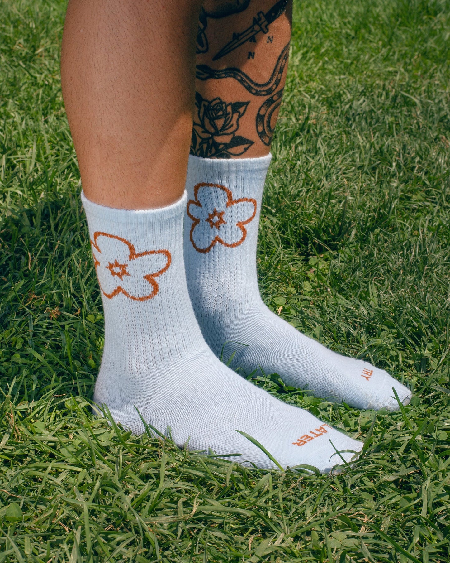 Try Later Socks - Medium (39-43)
